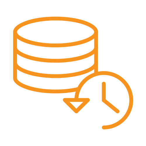Business Disaster Recovery Service